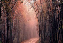 阿曼横扫科特迪瓦，晋级16强资格