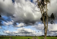 纽卡斯尔主场挫败，晋级遇挫，战绩浮浅