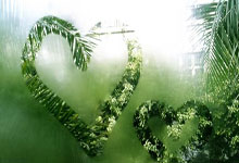 女足比赛选手实现了历史性突破：重新定义竞技精神