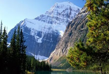 热火队新秀球员崭露头角，为球队注入新鲜活力